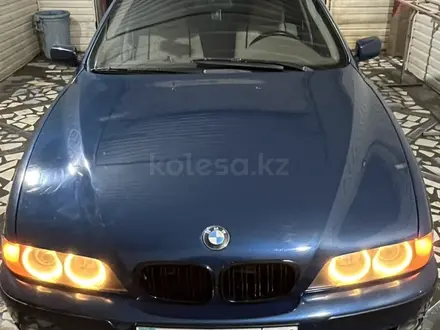 BMW 525 2002 года за 4 450 000 тг. в Кызылорда – фото 11