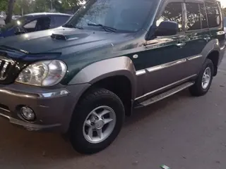 Hyundai Terracan, 2001