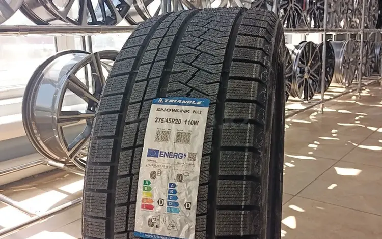 275/45R20 TRIANGLE PL02 зимнийүшін45 000 тг. в Алматы