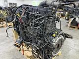 DAF 106 480 двигатель ДВС МОТОР за 100 000 тг. в Алматы – фото 5