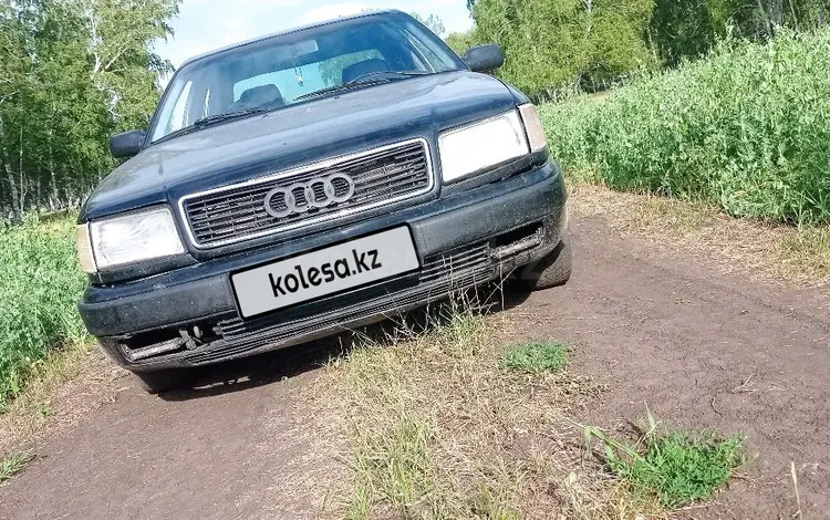 Audi 100 1993 года за 1 650 000 тг. в Петропавловск