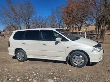 Honda Odyssey 2001 года за 4 500 000 тг. в Шымкент – фото 2