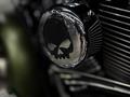 Harley-Davidson  STREET GLIDE 2013 года за 7 550 000 тг. в Алматы – фото 17