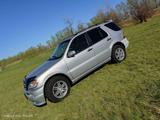 Mercedes-Benz ML 320 2002 годаүшін3 700 000 тг. в Павлодар – фото 2
