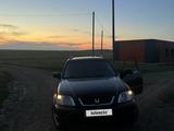 Honda CR-V 1998 года за 3 500 000 тг. в Кокшетау