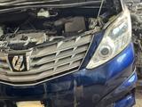 Ноускат носкат мини морда Toyota Alphard Velfiireүшін420 000 тг. в Уральск – фото 3