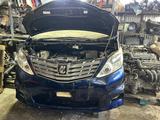 Ноускат носкат мини морда Toyota Alphard Velfiireүшін420 000 тг. в Уральск – фото 2