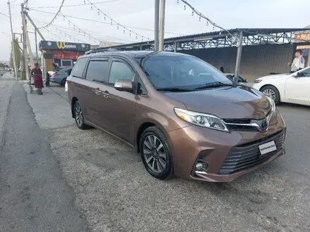 Toyota Sienna 2018 года за 17 500 000 тг. в Шымкент – фото 5