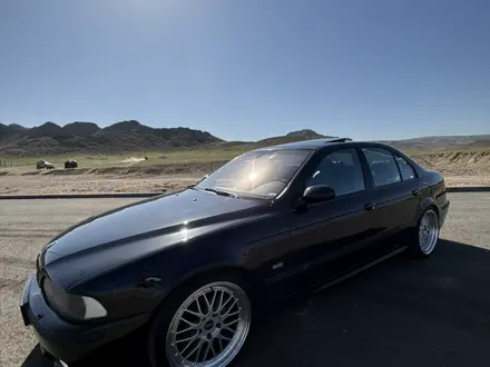 BMW 530 2003 года за 5 500 000 тг. в Алматы – фото 10