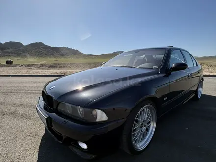 BMW 530 2003 года за 5 500 000 тг. в Алматы – фото 11