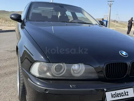 BMW 530 2003 года за 5 500 000 тг. в Алматы – фото 13