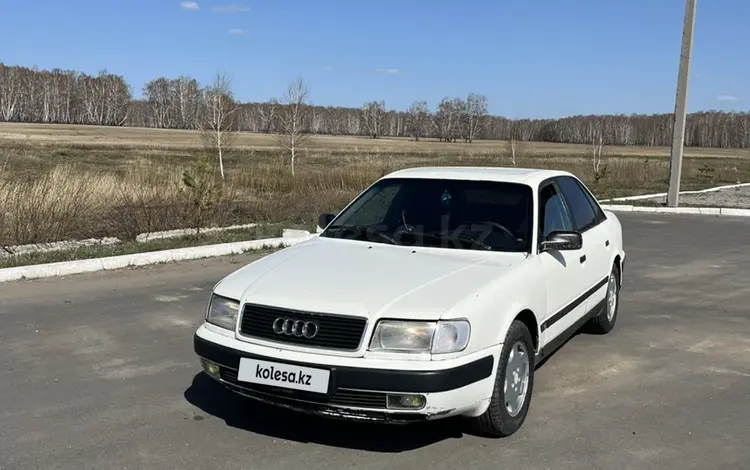 Audi 100 1991 годаүшін1 700 000 тг. в Петропавловск