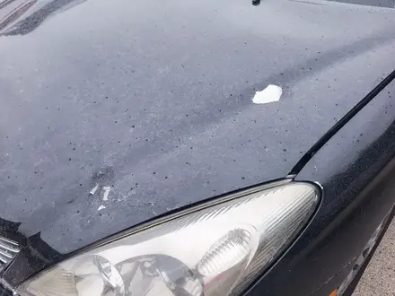 Lexus ES 300 2003 года за 4 850 000 тг. в Алматы – фото 26
