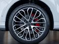 Audi Q7 55 TFSI 2024 года за 59 320 000 тг. в Алматы – фото 14