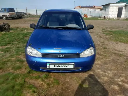 ВАЗ (Lada) Kalina 1119 2007 года за 1 300 000 тг. в Костанай