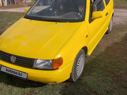 Volkswagen Polo 2004 года за 950 000 тг. в Алматы – фото 4