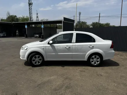 Chevrolet Aveo 2013 года за 2 900 000 тг. в Алматы – фото 4