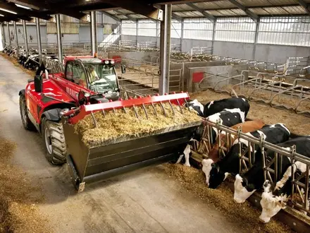 Manitou  Телескопические погрузчики 2026 года за 36 565 000 тг. в Семей – фото 22