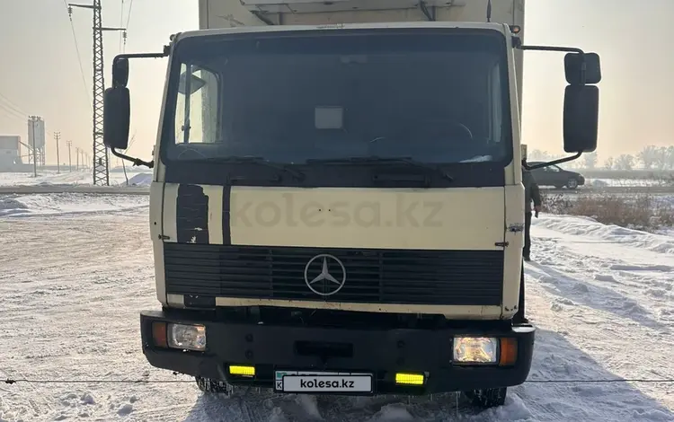 Mercedes-Benz  817 1994 годаfor7 000 000 тг. в Алматы