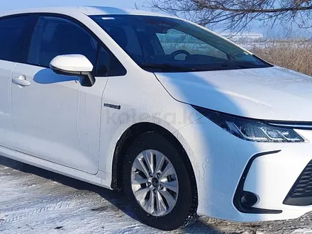 Toyota Corolla 2023 года за 11 400 000 тг. в Алматы – фото 2