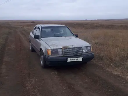 Mercedes-Benz E 260 1989 года за 850 000 тг. в Караганда – фото 2