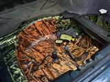 BMW 316 1996 годаүшін2 100 000 тг. в Алматы – фото 5