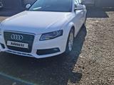 Audi A4 2010 года за 4 500 000 тг. в Щучинск