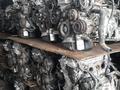 Двигатель toyota camry (тойота камри 2, 4) Мотор 2AZ (2ar/1mz/3mz/1gr/2gr)үшін445 356 тг. в Алматы – фото 2