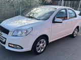 Chevrolet Nexia 2022 года за 4 700 000 тг. в Шымкент