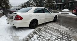 Mercedes-Benz E 55 AMG 2005 годаfor11 500 000 тг. в Алматы – фото 4