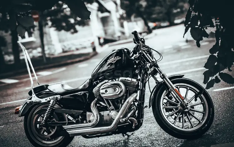 Harley-Davidson  Sportster 883 2009 года за 3 500 000 тг. в Алматы