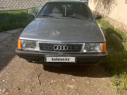 Audi 100 1990 года за 1 000 000 тг. в Шымкент