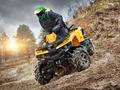 Stels  ATV-800 Guepard Touring 2015 года за 2 900 000 тг. в Актау