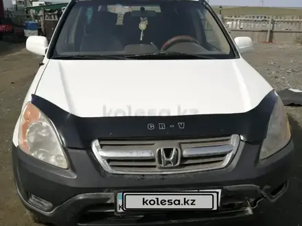 Honda CR-V 2002 года за 4 900 000 тг. в Астана