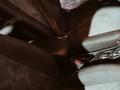 Opel Astra 2001 годаүшін2 500 000 тг. в Актобе – фото 6