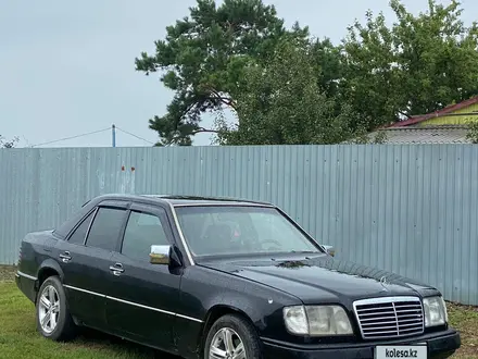 Mercedes-Benz E 300 1993 года за 800 000 тг. в Денисовка – фото 4