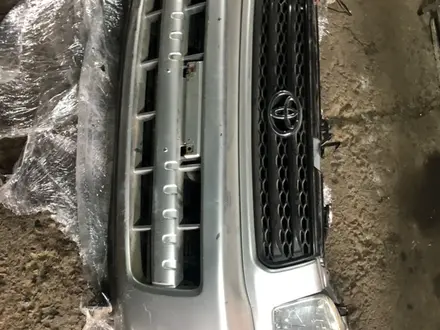 Ноускат за 225 000 тг. в Алматы