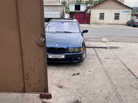 BMW 525 2000 года за 4 400 000 тг. в Шымкент – фото 13