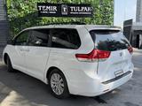 Toyota Sienna 2013 годаүшін13 890 000 тг. в Шымкент – фото 3