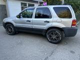 Ford Escape 2004 годаfor2 700 000 тг. в Алматы – фото 3