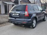 Honda CR-V 2011 года за 7 700 000 тг. в Кызылорда – фото 3