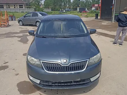 Skoda Rapid 2014 года за 3 800 000 тг. в Алматы