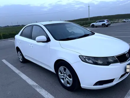 Kia Cerato 2010 года за 3 700 000 тг. в Алматы – фото 2