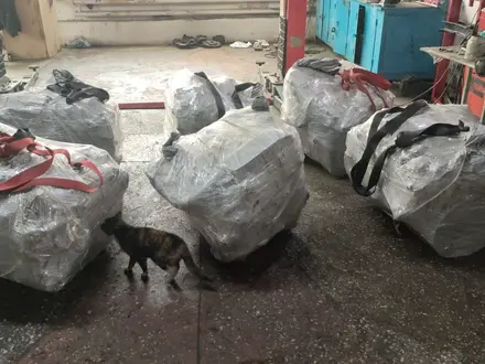 Двигатель на Мерседес 111 104 112 113 272 273 274 за 10 101 тг. в Алматы – фото 52