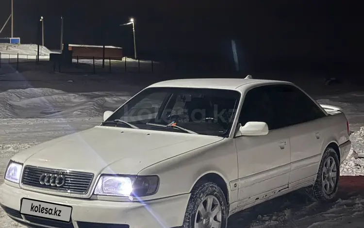 Audi 100 1992 года за 1 600 000 тг. в Павлодар