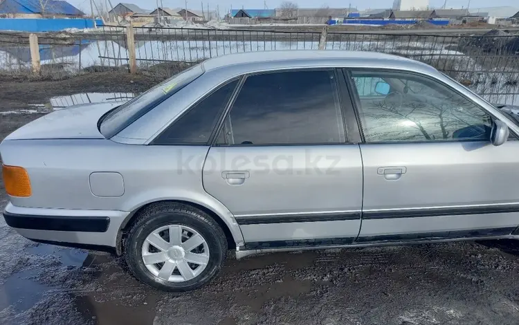 Audi 100 1992 годаүшін1 700 000 тг. в Петропавловск