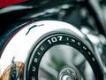 Harley-Davidson  Low Rider 2018 годаүшін10 500 000 тг. в Алматы – фото 16