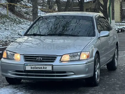 Toyota Camry 2001 года за 3 650 000 тг. в Алматы – фото 13