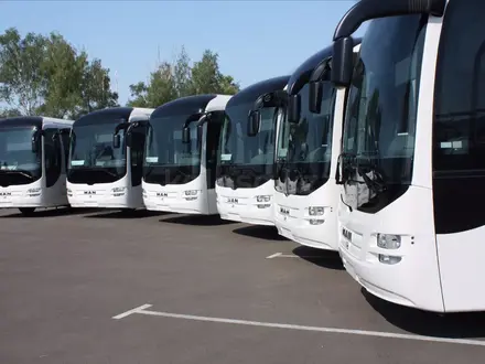 NUR-TRANS, прокат аренда авто с водителем в Шымкент – фото 8