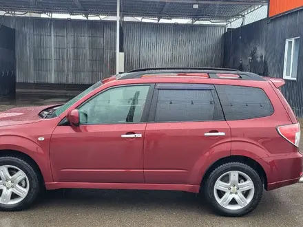 Subaru Forester 2009 года за 6 800 000 тг. в Шымкент – фото 10